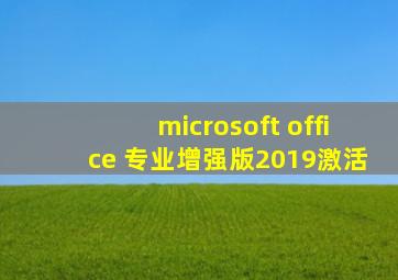 microsoft office 专业增强版2019激活