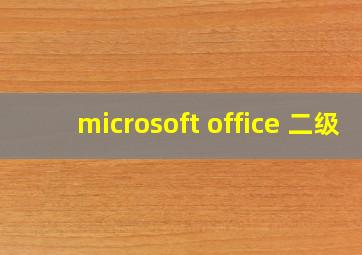 microsoft office 二级