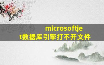 microsoftjet数据库引擎打不开文件