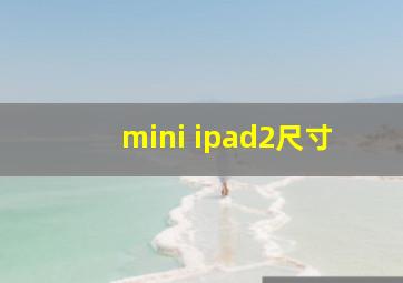 mini ipad2尺寸