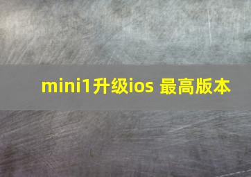 mini1升级ios 最高版本