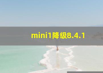 mini1降级8.4.1