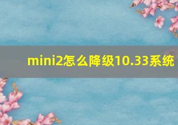 mini2怎么降级10.33系统