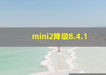 mini2降级8.4.1