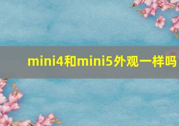 mini4和mini5外观一样吗