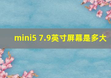 mini5 7.9英寸屏幕是多大