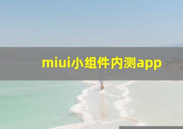 miui小组件内测app