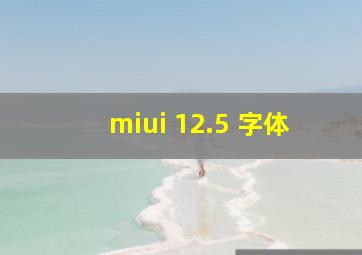 miui 12.5 字体