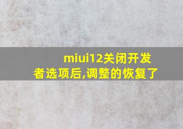 miui12关闭开发者选项后,调整的恢复了