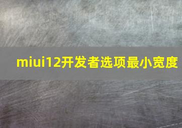 miui12开发者选项最小宽度