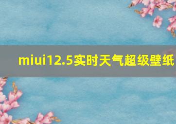 miui12.5实时天气超级壁纸