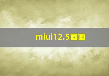 miui12.5画画