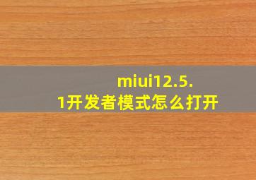 miui12.5.1开发者模式怎么打开