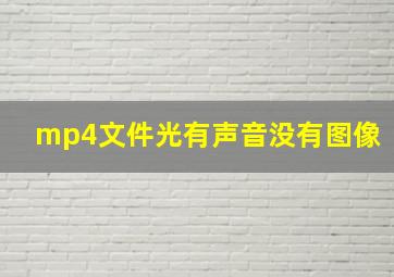 mp4文件光有声音没有图像