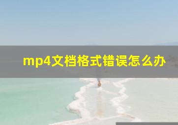 mp4文档格式错误怎么办