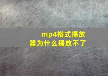 mp4格式播放器为什么播放不了