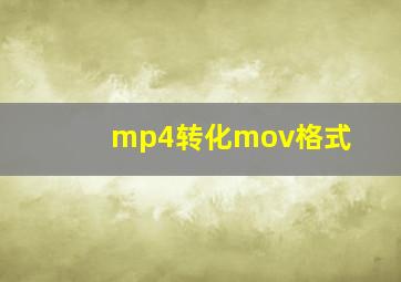 mp4转化mov格式