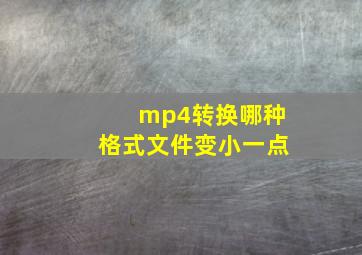 mp4转换哪种格式文件变小一点