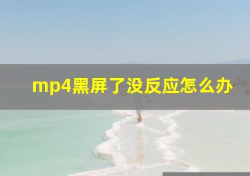 mp4黑屏了没反应怎么办