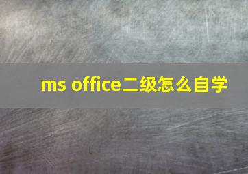 ms office二级怎么自学