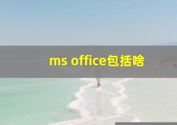 ms office包括啥