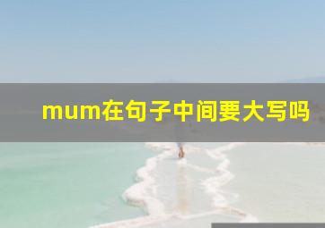 mum在句子中间要大写吗