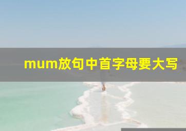 mum放句中首字母要大写