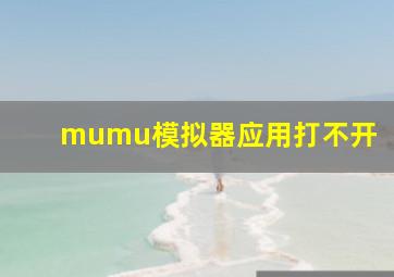 mumu模拟器应用打不开