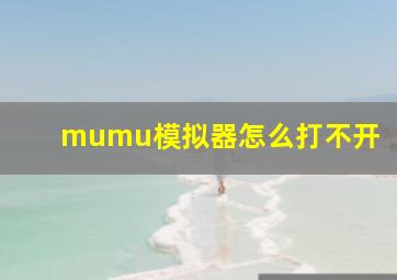 mumu模拟器怎么打不开