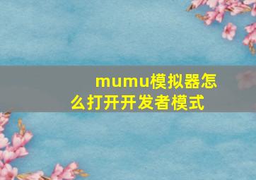 mumu模拟器怎么打开开发者模式