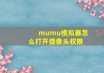 mumu模拟器怎么打开摄像头权限