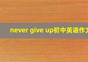 never give up初中英语作文