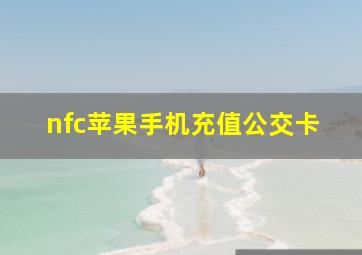 nfc苹果手机充值公交卡