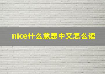 nice什么意思中文怎么读