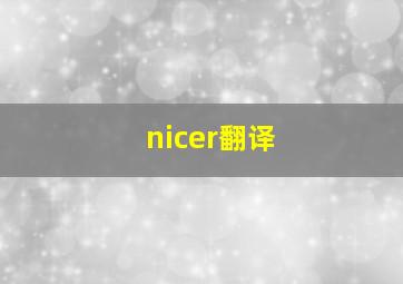 nicer翻译