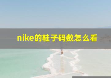 nike的鞋子码数怎么看