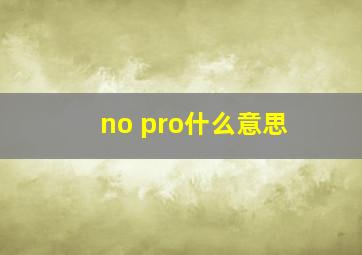 no pro什么意思