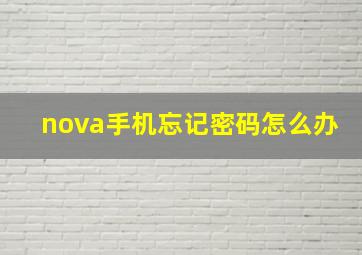 nova手机忘记密码怎么办