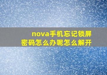 nova手机忘记锁屏密码怎么办呢怎么解开