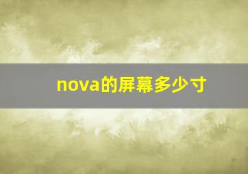 nova的屏幕多少寸