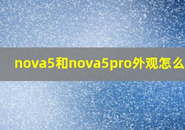 nova5和nova5pro外观怎么区分