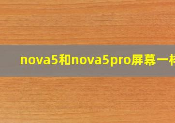 nova5和nova5pro屏幕一样吗