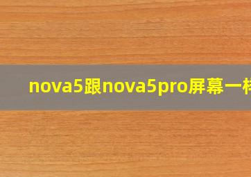 nova5跟nova5pro屏幕一样吗