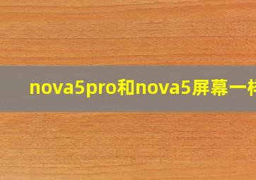 nova5pro和nova5屏幕一样吗