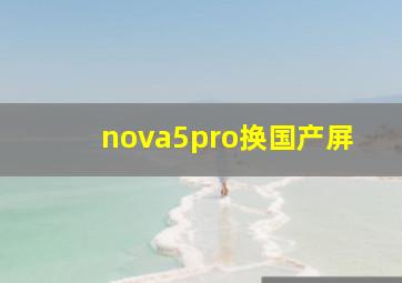 nova5pro换国产屏