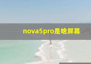 nova5pro是啥屏幕