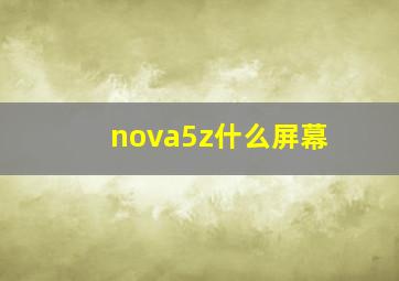 nova5z什么屏幕