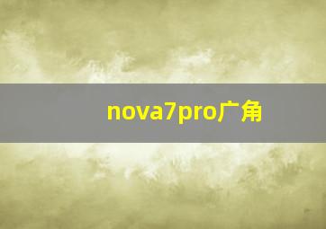 nova7pro广角