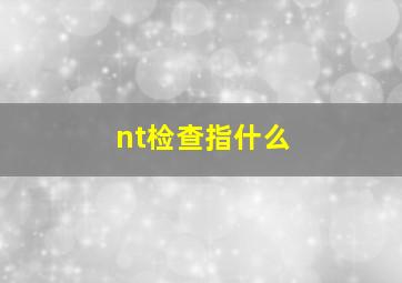 nt检查指什么