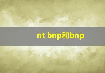 nt bnp和bnp